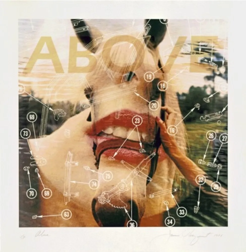 Lithografie Rosenquist - Above