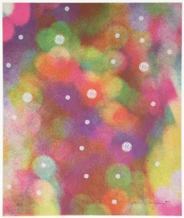 Zeefdruk Rosenquist - Circles of Confusion