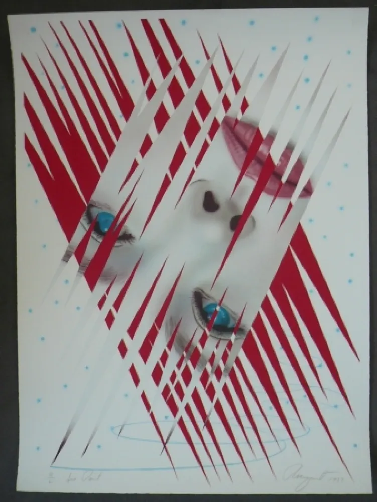 Lithografie Rosenquist - Ice Point