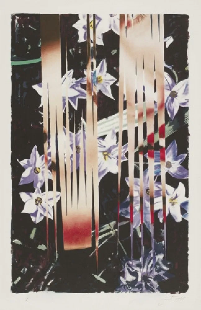 Lithografie Rosenquist - Night Transitions
