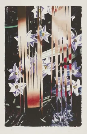Lithografie Rosenquist - Night Transitions