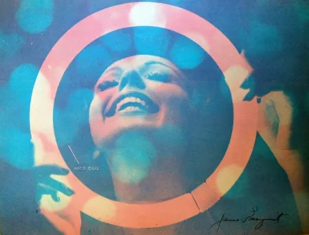 Zeefdruk Rosenquist - Somewhere to Light