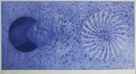 Ets En Aquatint Rosenquist - The Book Disappears for the Fast Student 2nd State