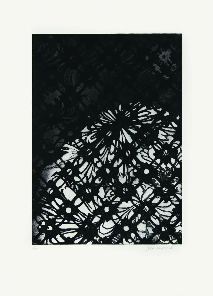 Ets Roy-Camille - Ajourée