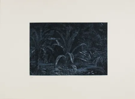 Ets Roy-Camille - Le remplissage des blancs sur la carte