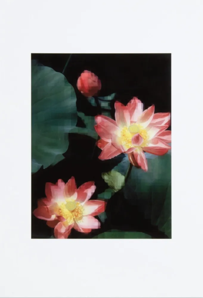 Geen Techniek Ruff - Lotus Flower