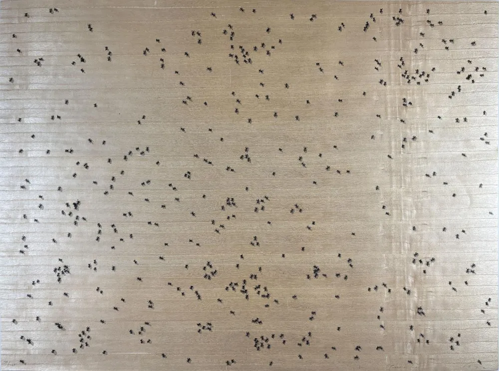 Zeefdruk Ruscha - Black Ants from the Insects Portfolio
