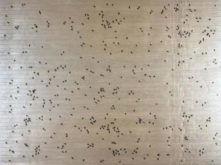 Zeefdruk Ruscha - Black Ants from the Insects Portfolio