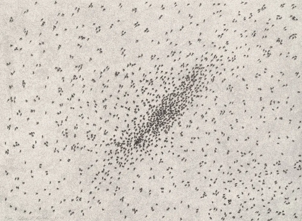 Lithografie Ruscha - Insect Slants (Ants)