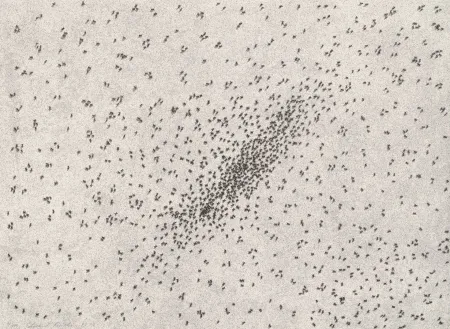 Lithografie Ruscha - Insect Slants (Ants)