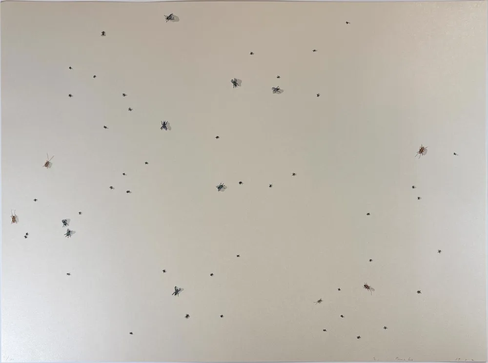 Zeefdruk Ruscha - Pearl Dust Combination from the Insects Portfolio