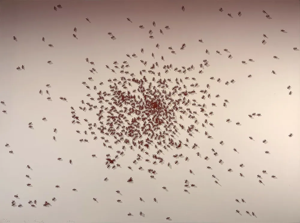 Zeefdruk Ruscha - Swarm of Red Ants from the Insects Portfolio