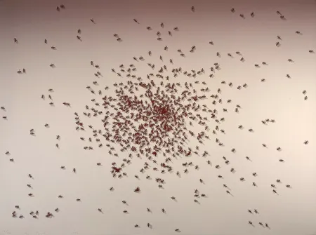 Zeefdruk Ruscha - Swarm of Red Ants from the Insects Portfolio