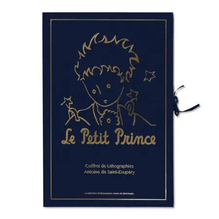 Lithografie Saint-Exupéry - Portfolio 12 Lithographies 