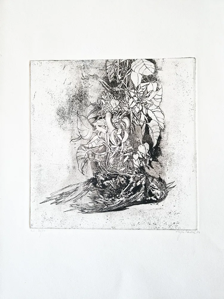 Geïllustreerd Boek Saroni - Sei incisioni all'acquaforte e all'acquatinta.