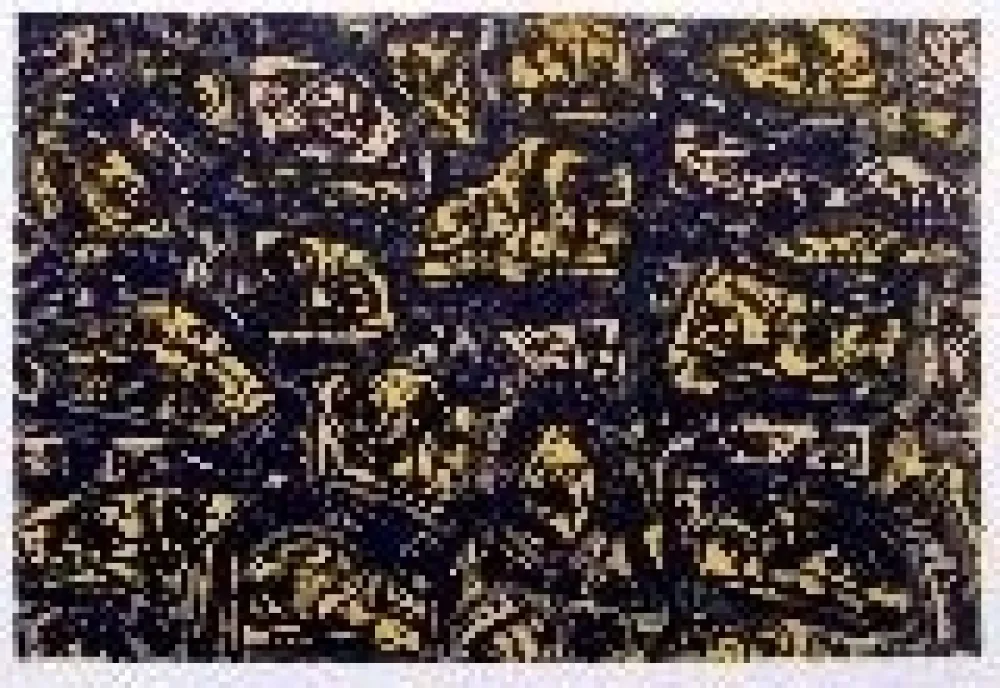 Lithografie Saura - Kafka 4