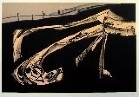 Lithografie Saura - Kafka 6