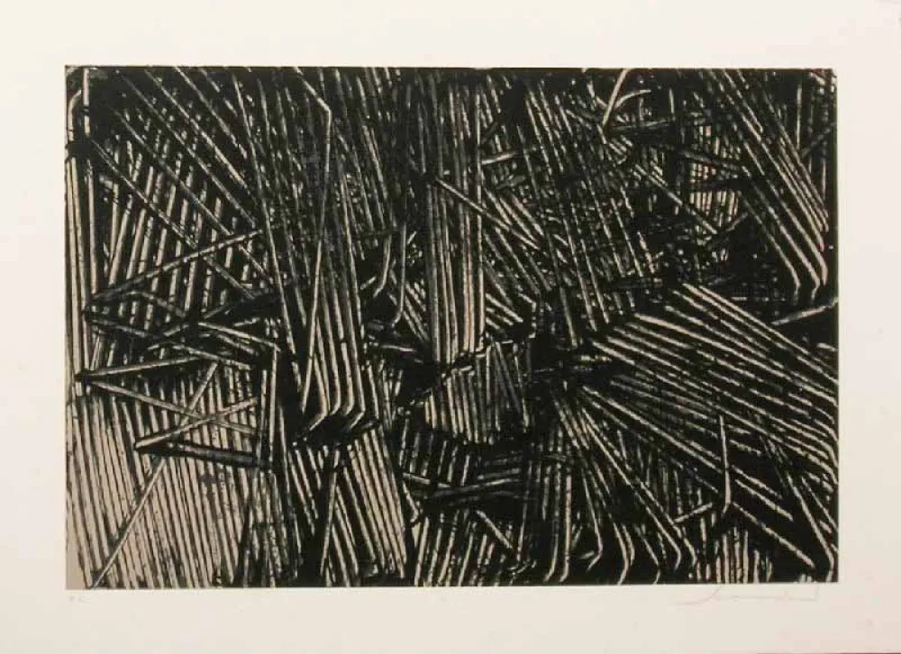 Lithografie Scanavino - SENZA TITOLO