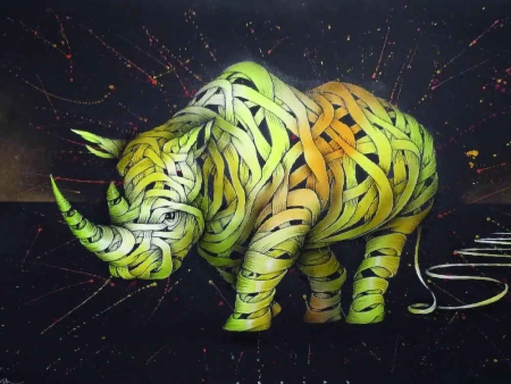 Geen Techniek Schade - Rino Zero