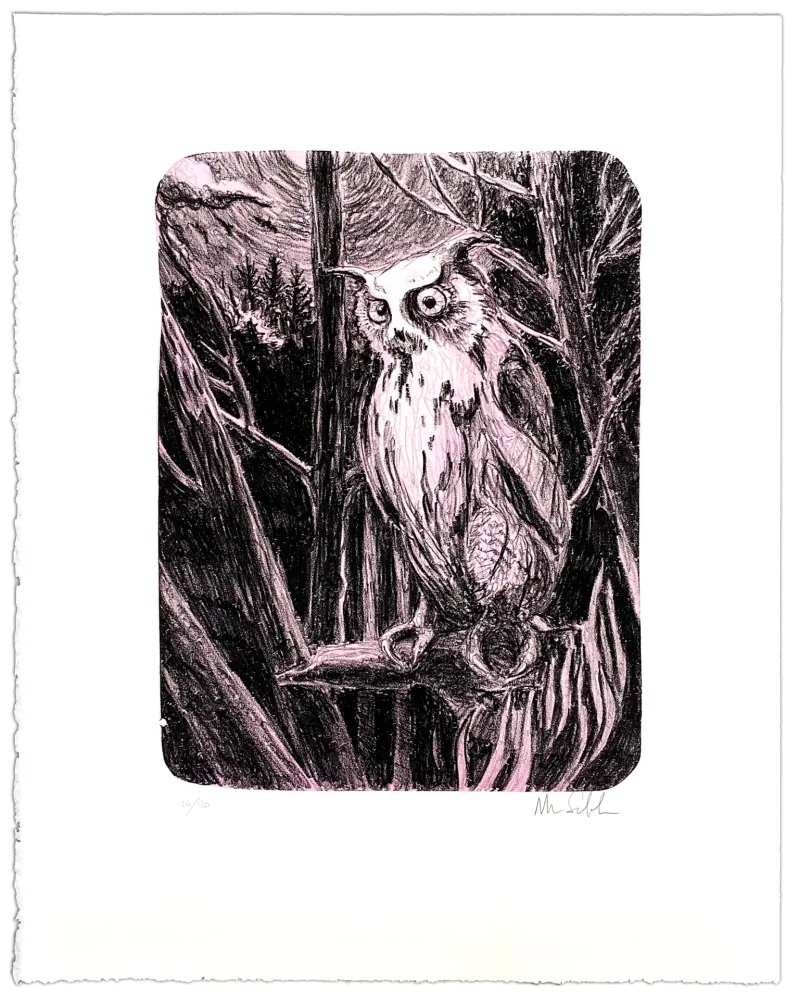 Lithografie Schelde - Night Owl