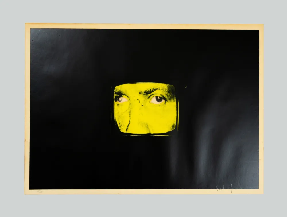 Zeefdruk Schifano - Composizione