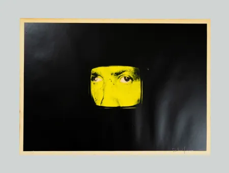 Zeefdruk Schifano - Composizione