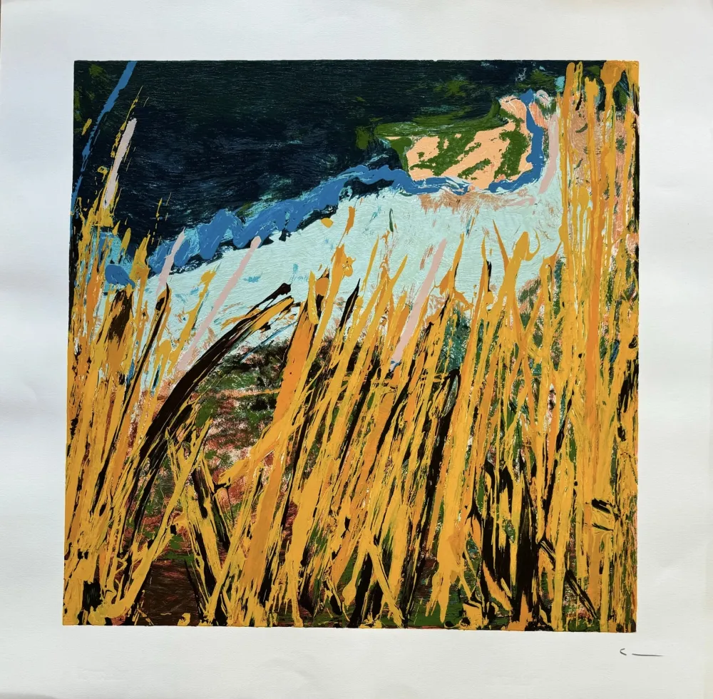 Lithografie Schifano - Mario Schifano (1934–1998) - Campi da terra - Enamel screen printing - 1990