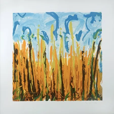 Zeefdruk Schifano - Mario Schifano (1934–1998) – Campo Basso – Enamel screen printing, 29-colour printing on Magnani di Pescia paper – 1988