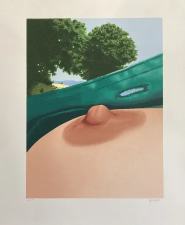 Zeefdruk Schlosser - C'est tellement simple, 1991