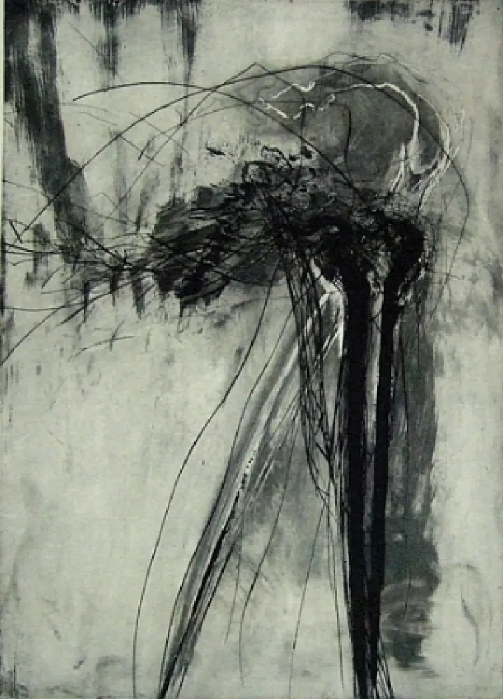 Droge Naald Schober - Richiamo