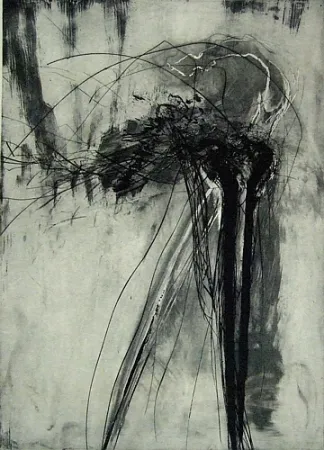 Droge Naald Schober - Richiamo