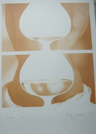 Zeefdruk Scholte - Cascade