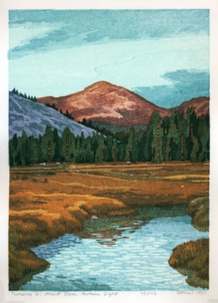 Houtsnede Schwaberow - Tuolumne 2: Mount Dana, Autumn Light
