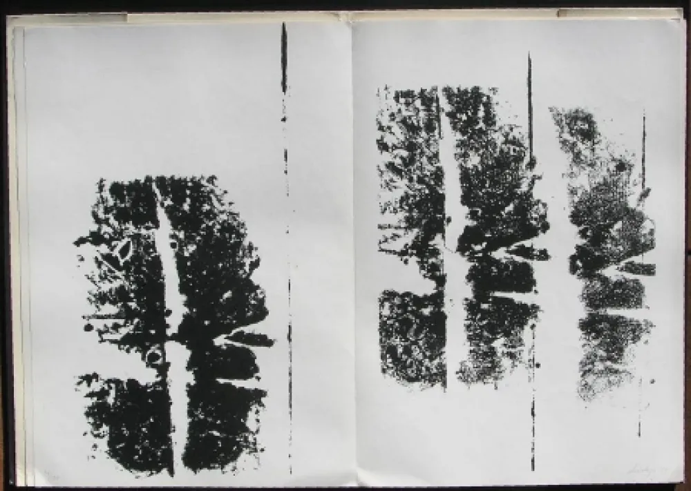 Geïllustreerd Boek Scialoja - Toti Scialoja. Quattro litografie