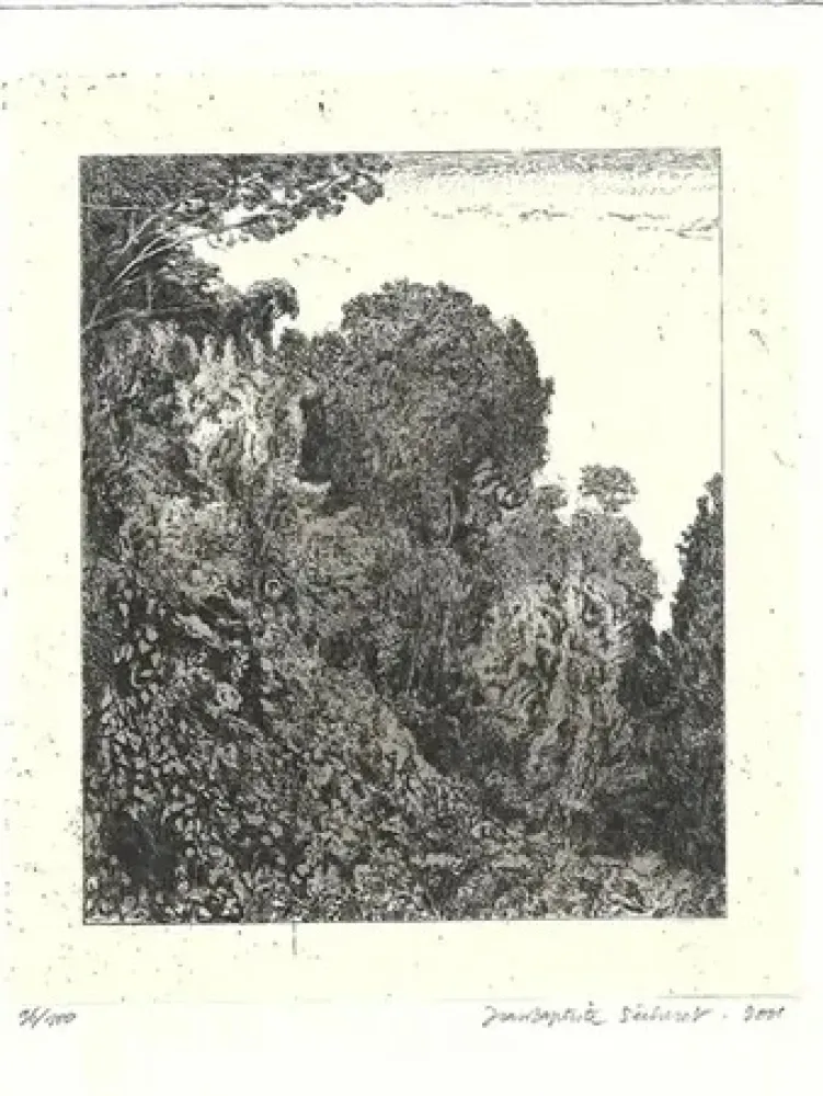 Gravure Sécheret - Le bois d 'acacias (2001)