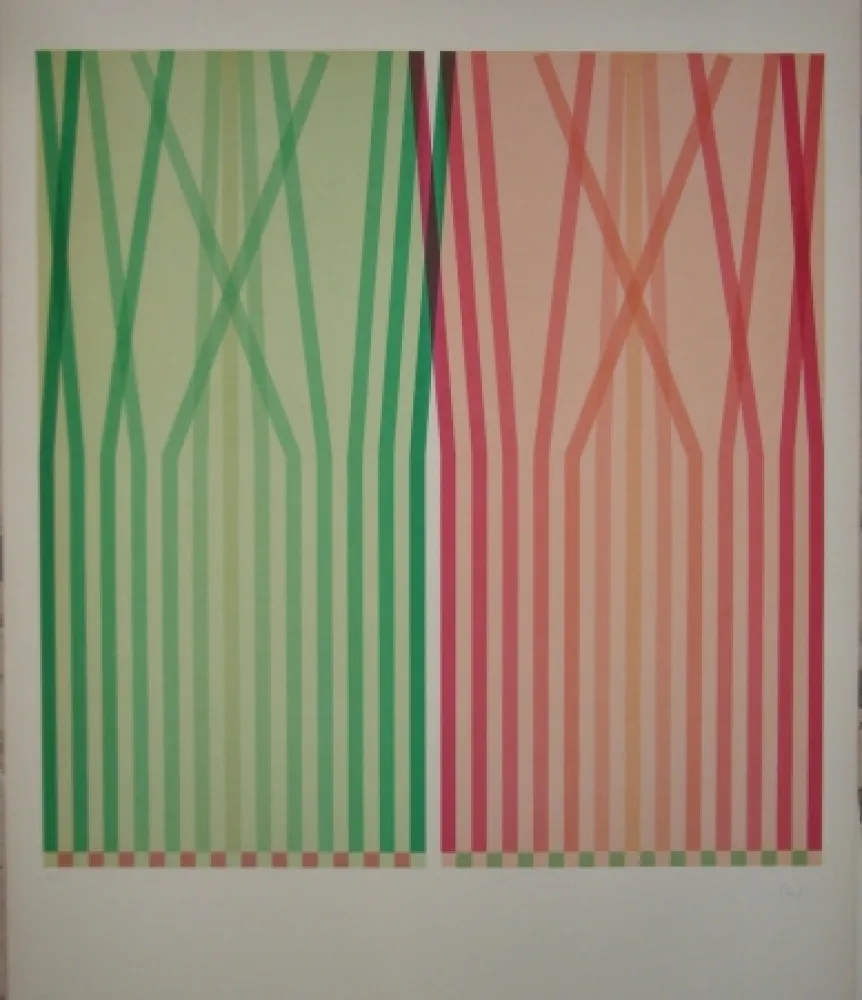 Lithografie Sempere - Se2