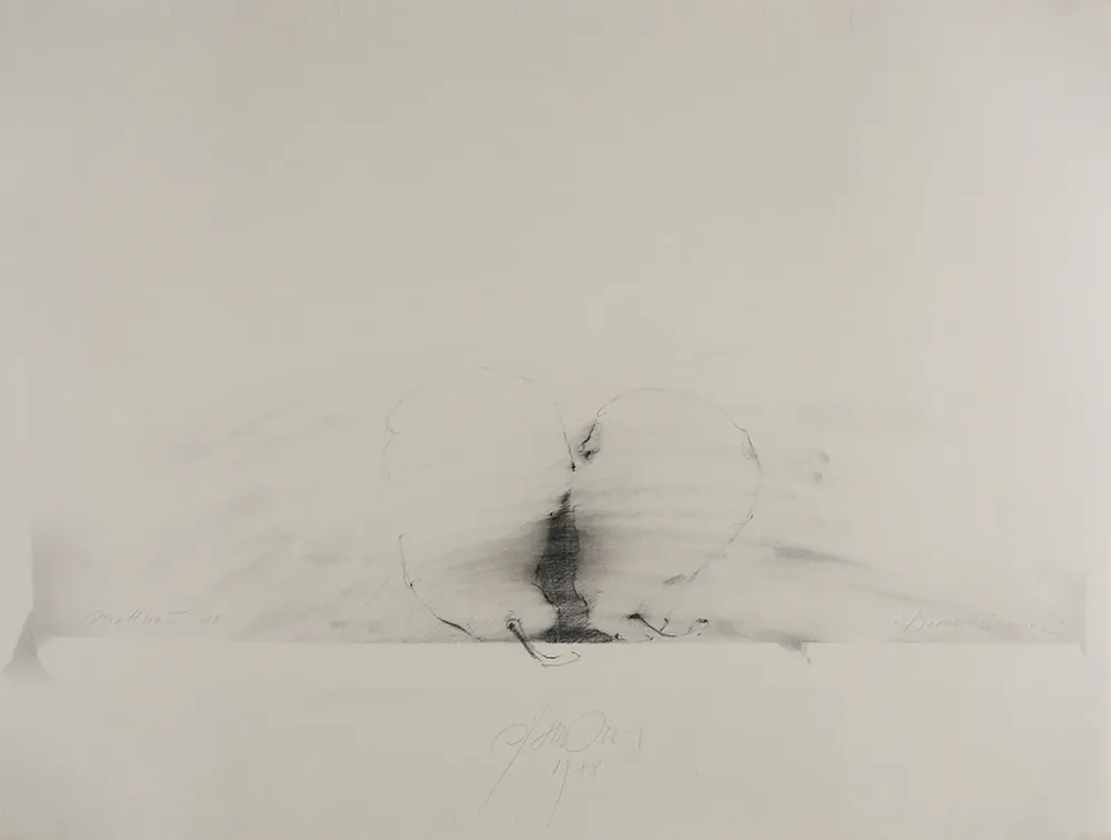 Geen Techniek Sensen - Mettnau 11.  Birnen-vaginal