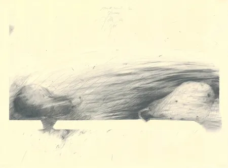 Geen Techniek Sensen - Mettnau 12 — 2 Birne