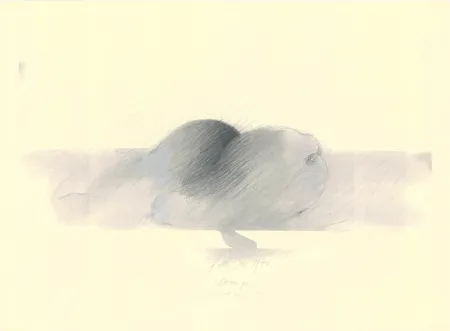 Geen Techniek Sensen - Mettnau 9.  Birnen po