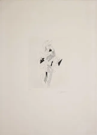 Ets Severini - Arlecchino