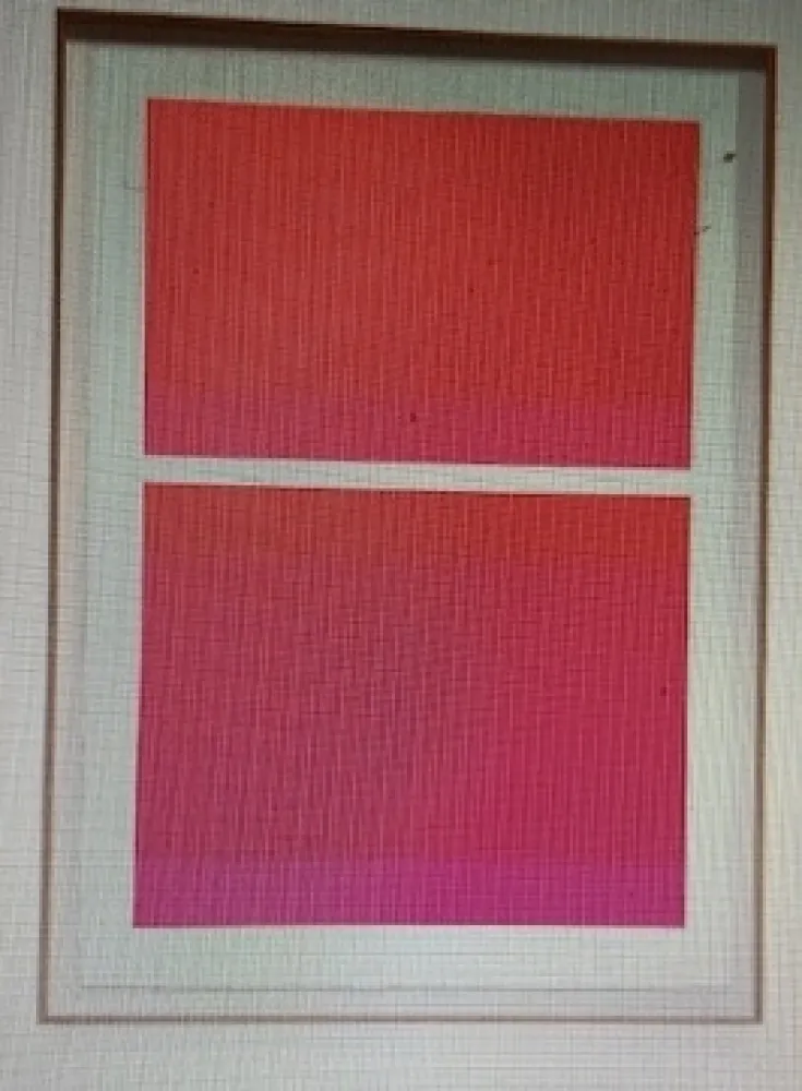 Zeefdruk Shepherd - State Theater on Bikini Pink