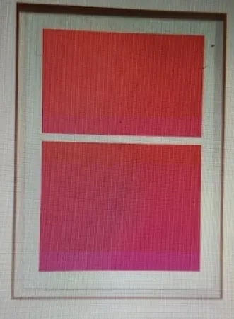 Zeefdruk Shepherd - State Theater on Bikini Pink