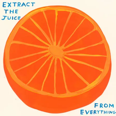 Zeefdruk Shrigley - Extract The Juice