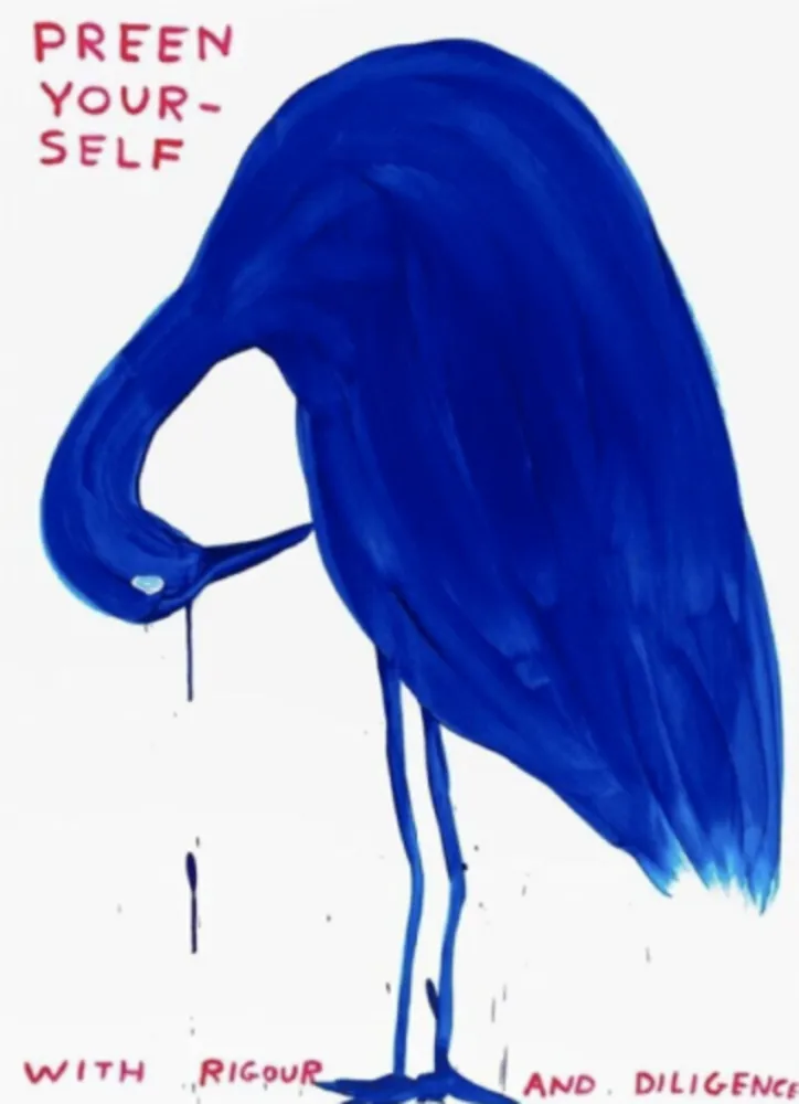 Zeefdruk Shrigley - Preen Yourself