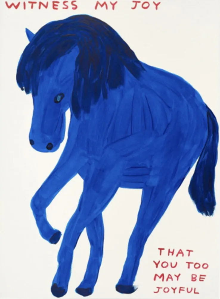 Zeefdruk Shrigley - Witness My Joy