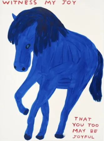 Zeefdruk Shrigley - Witness My Joy
