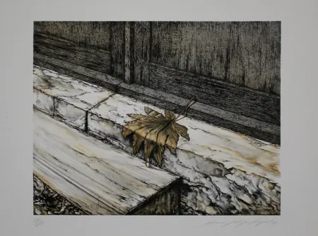 Lithografie Siegert - Ahornblatt / Maple Leaf