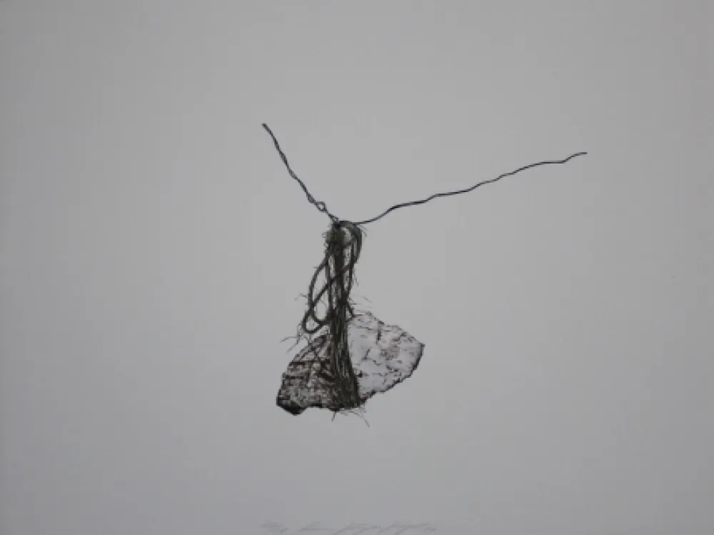 Lithografie Siegert - Stein / Rock