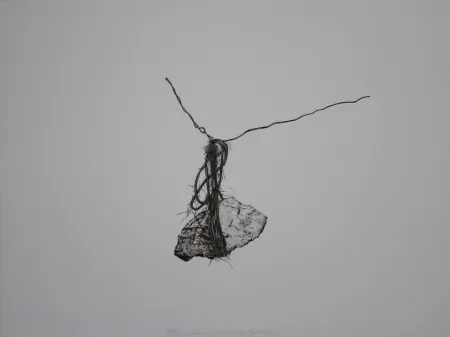 Lithografie Siegert - Stein / Rock