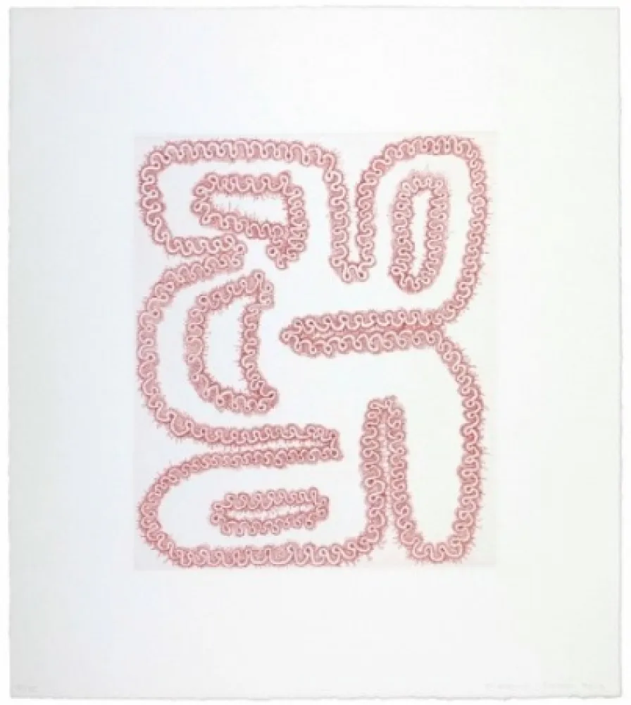 Gravure Siena - Roda tergiversada amb quatre forats